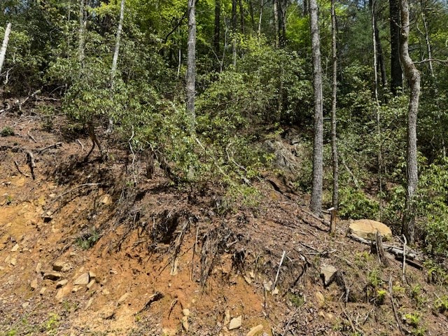 0.33 Ac Shallowford Bridge Property Photo 13