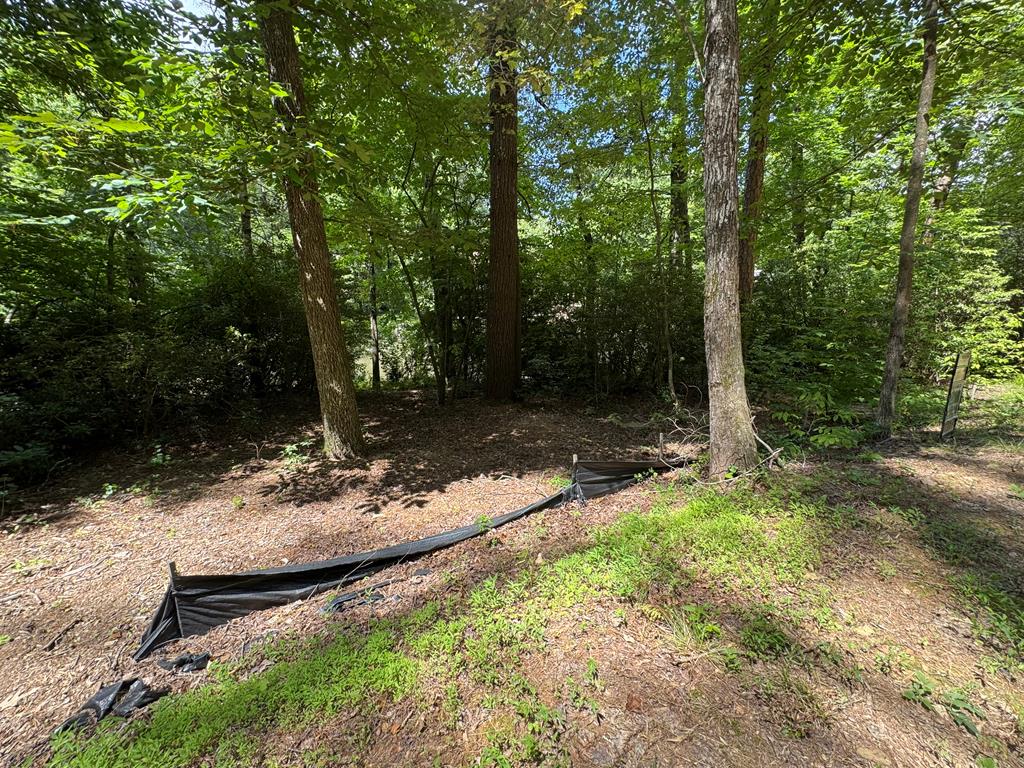 0.33 Ac Shallowford Bridge Property Photo 15