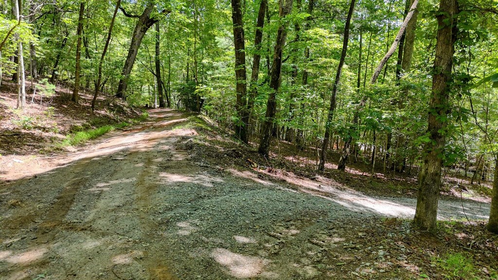 243 Chattahoochee Acres Property Photo 71