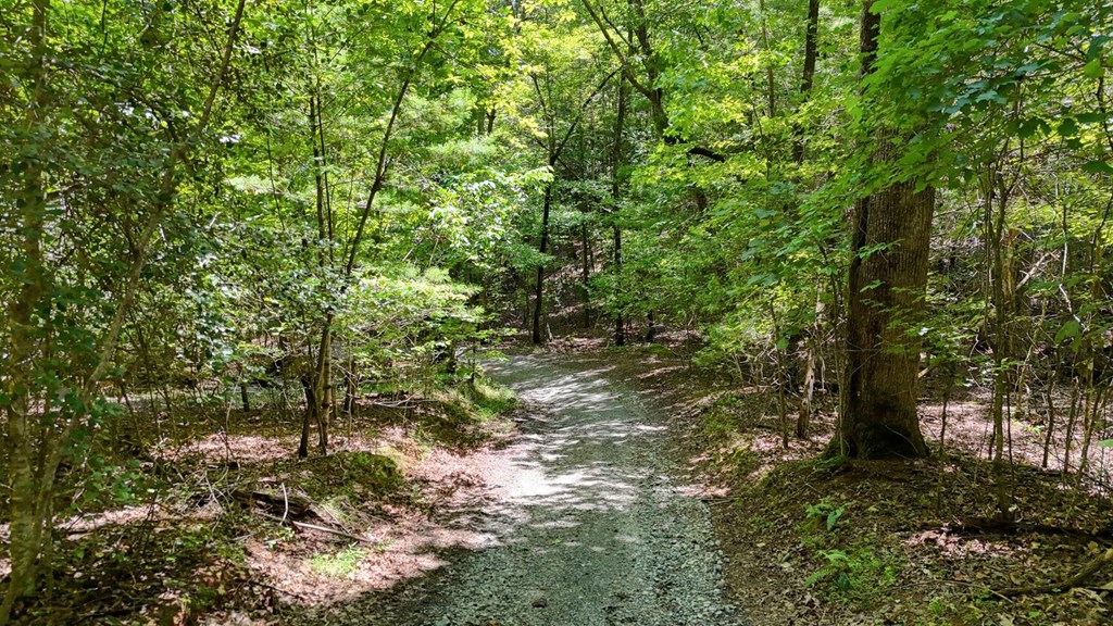 243 Chattahoochee Acres Property Photo 72
