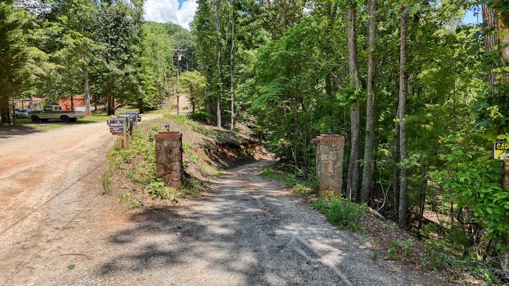 243 Chattahoochee Acres Property Photo 73