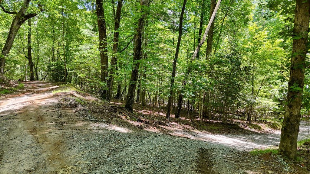 243 Chattahoochee Acres Property Photo 74