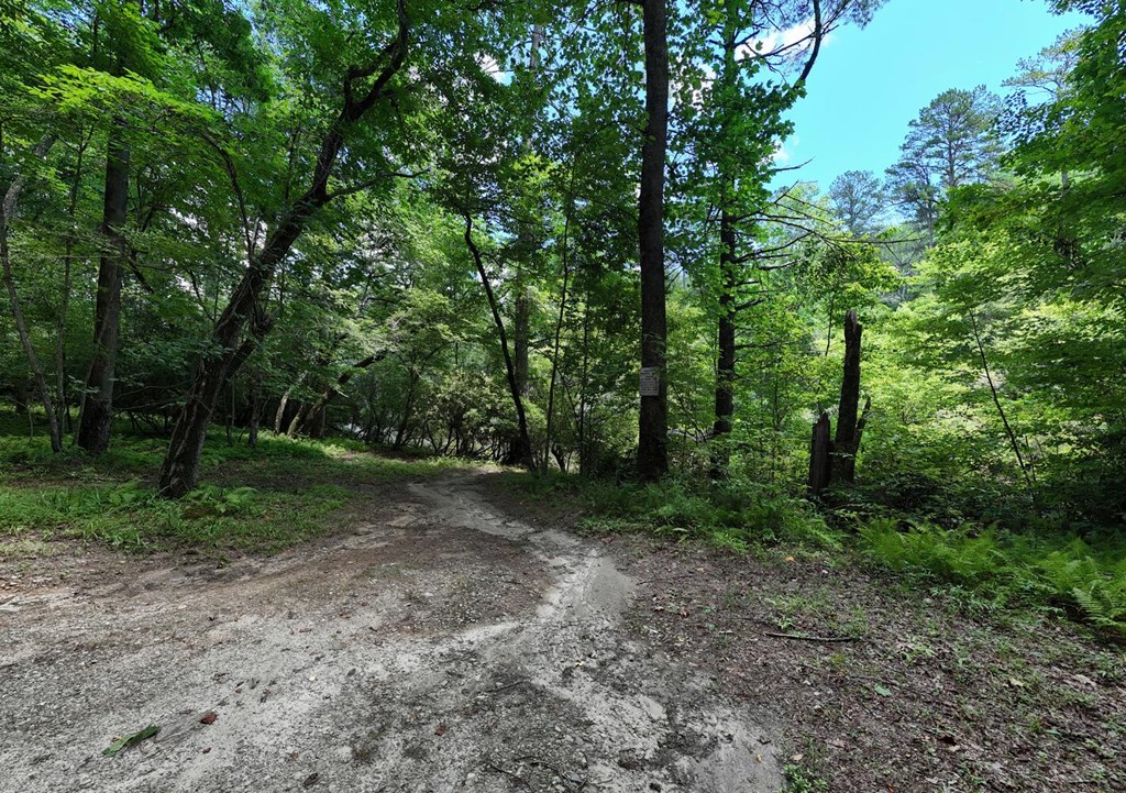 243 Chattahoochee Acres Property Photo 78