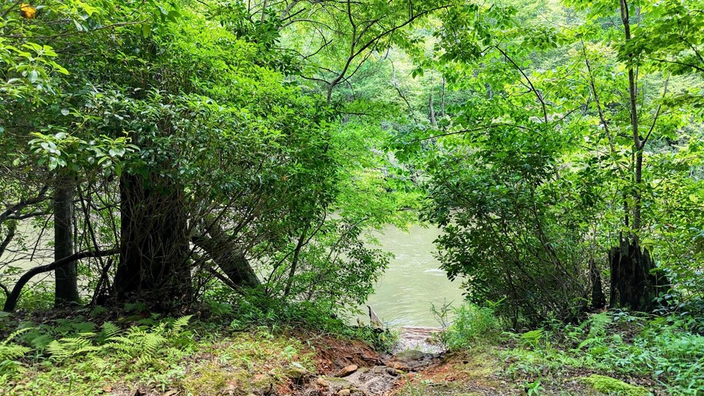 243 Chattahoochee Acres Property Photo 79