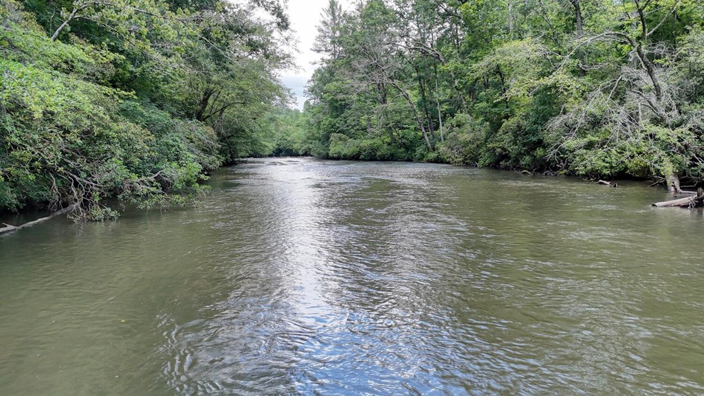 243 Chattahoochee Acres Property Photo 81