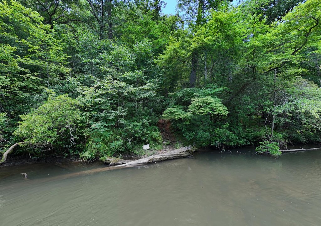 243 Chattahoochee Acres Property Photo 83