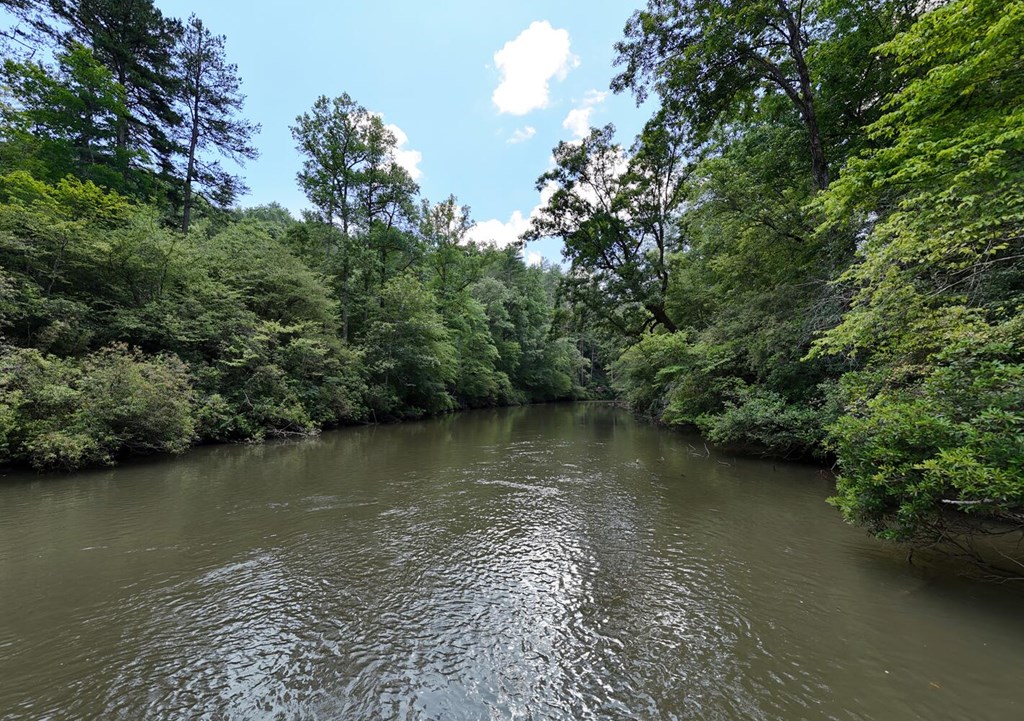 243 Chattahoochee Acres Property Photo 84