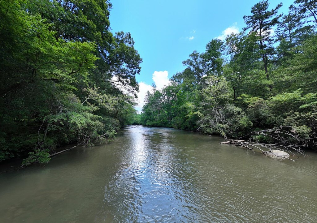 243 Chattahoochee Acres Property Photo 85