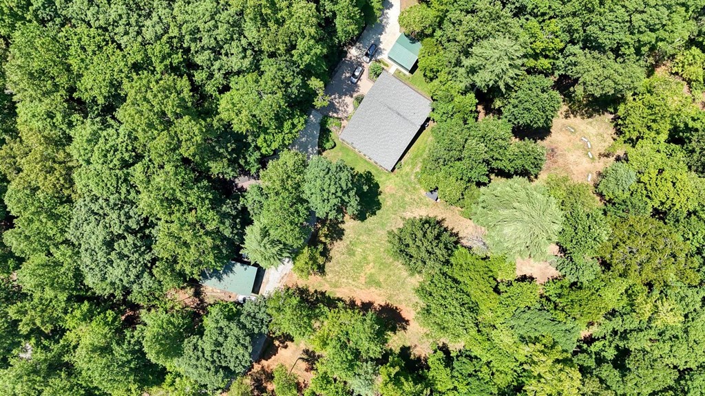 243 Chattahoochee Acres Property Photo 86