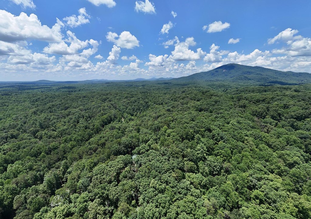 243 Chattahoochee Acres Property Photo 87