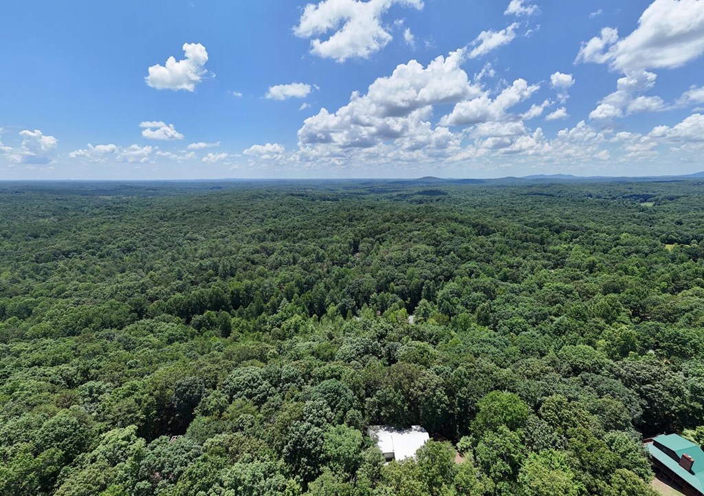 243 Chattahoochee Acres Property Photo 88