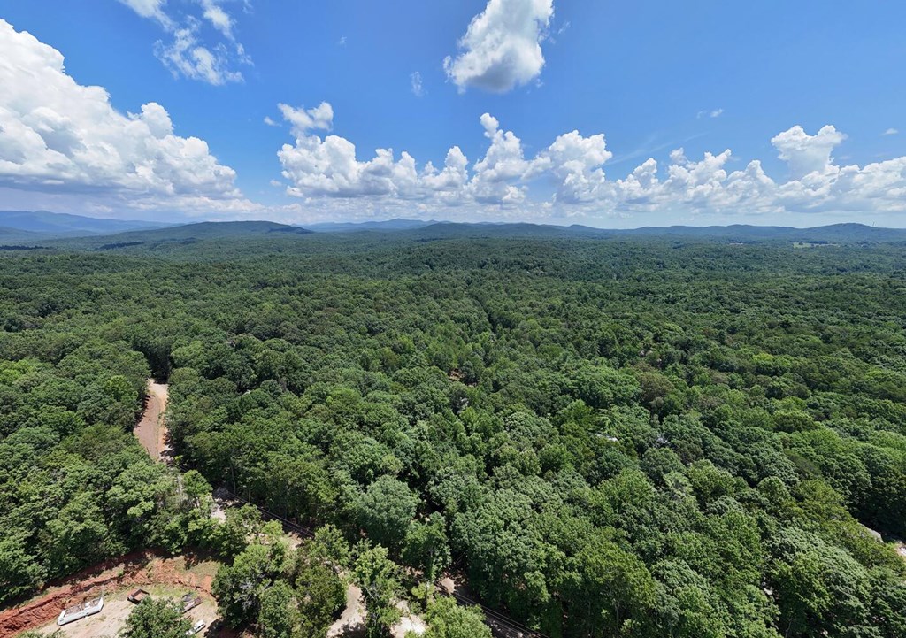 243 Chattahoochee Acres Property Photo 89