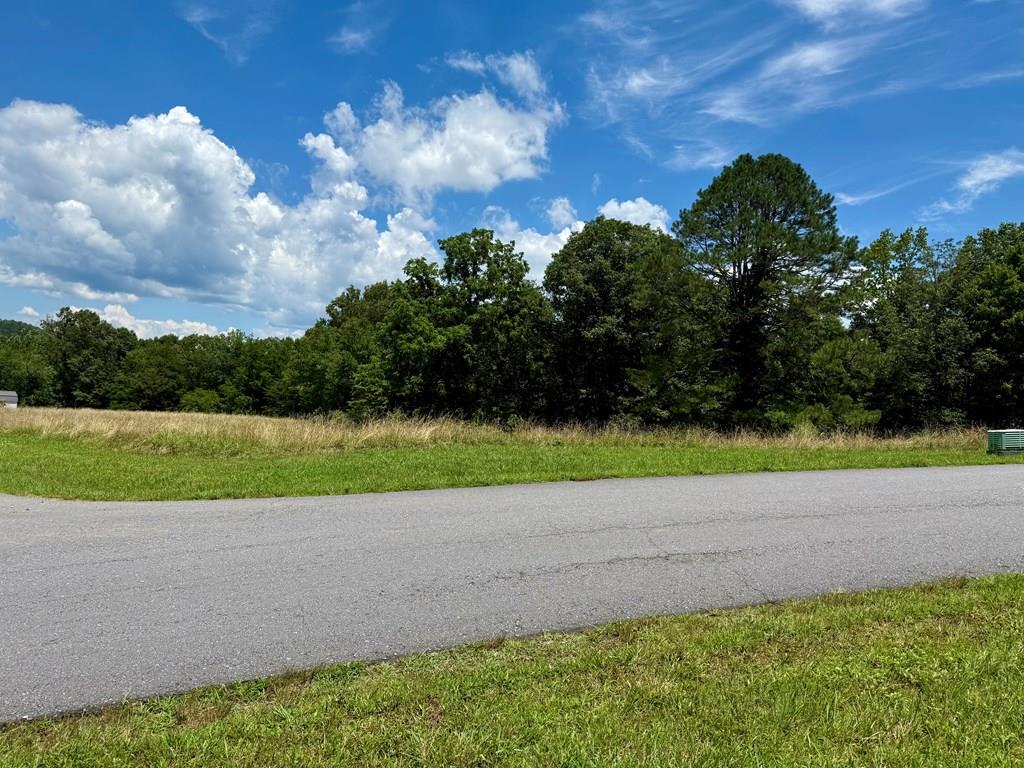 0 Dewey Lane Property Photo 1