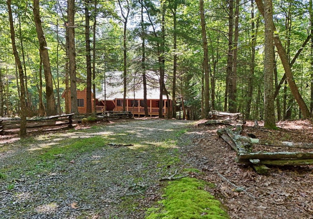 84 Saddle Ridge Court Property Photo 6