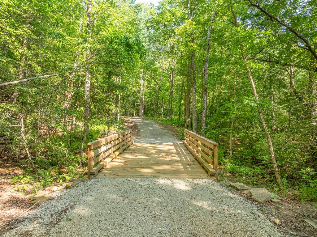 1298 Cold Stream Trail