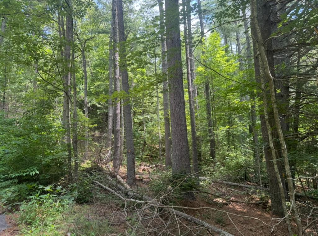 Lot 6 Baker Lane Property Photo 1