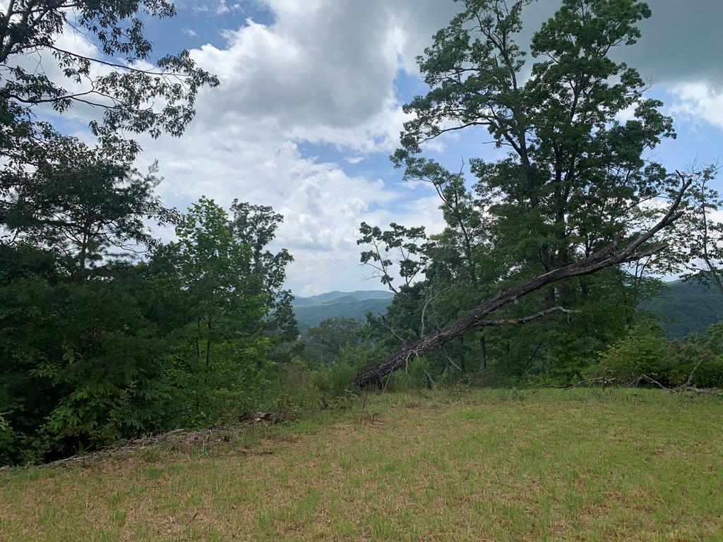 44 & 45 Silo View Property Photo 2