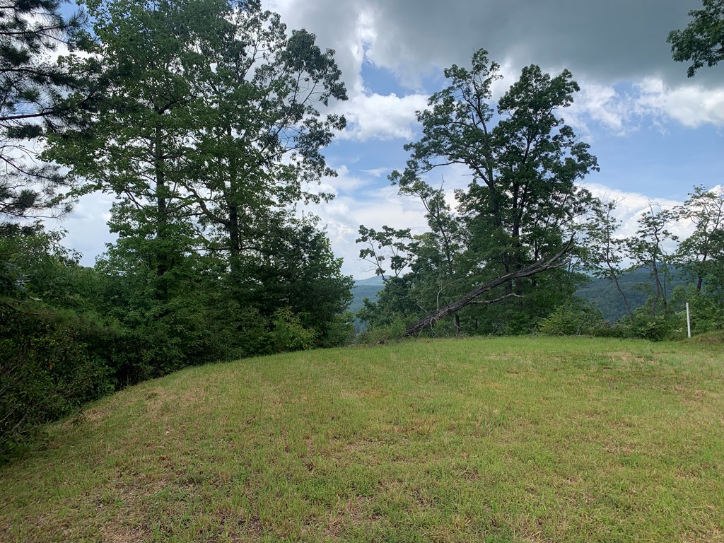 44 & 45 Silo View Property Photo 41