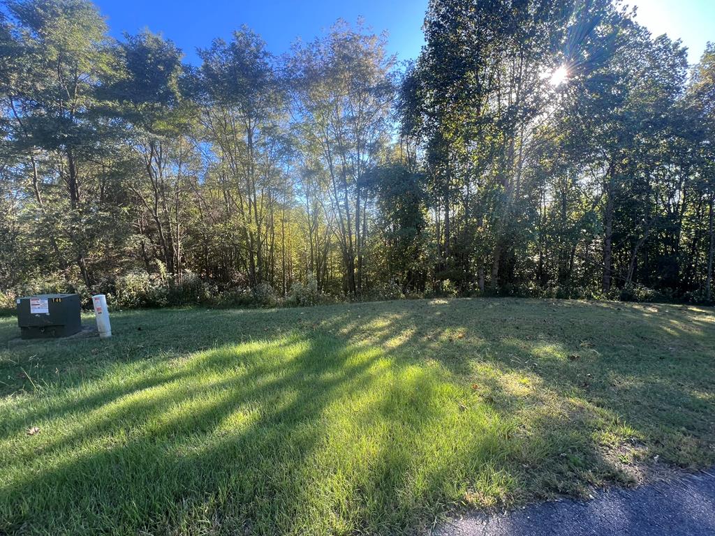 0 Sanctuary Drive Property Photo 1