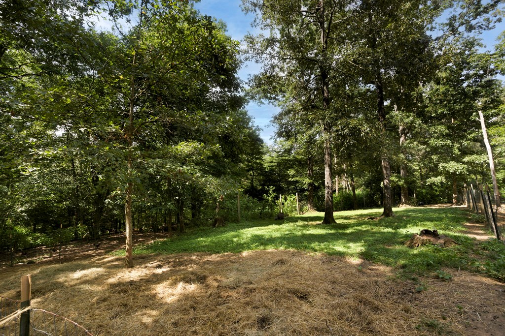 102 Tate Mill Ridge Property Photo 33