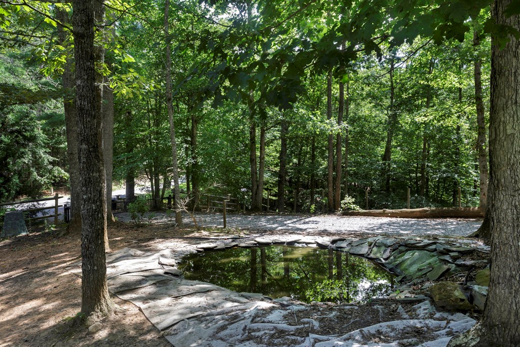 102 Tate Mill Ridge Property Photo 54