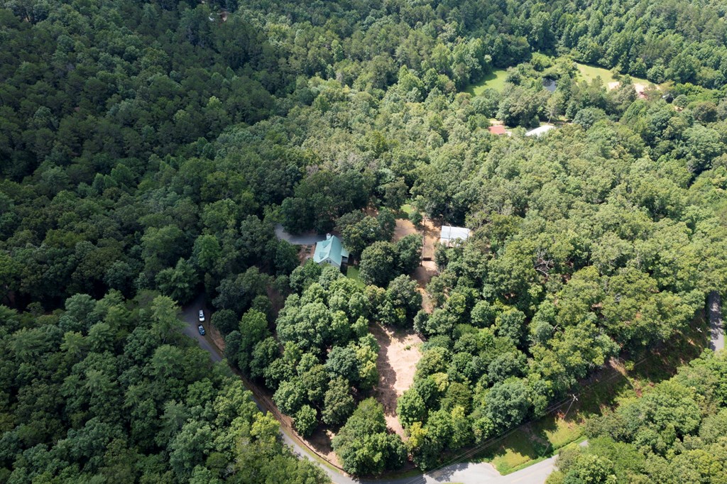 102 Tate Mill Ridge Property Photo 64