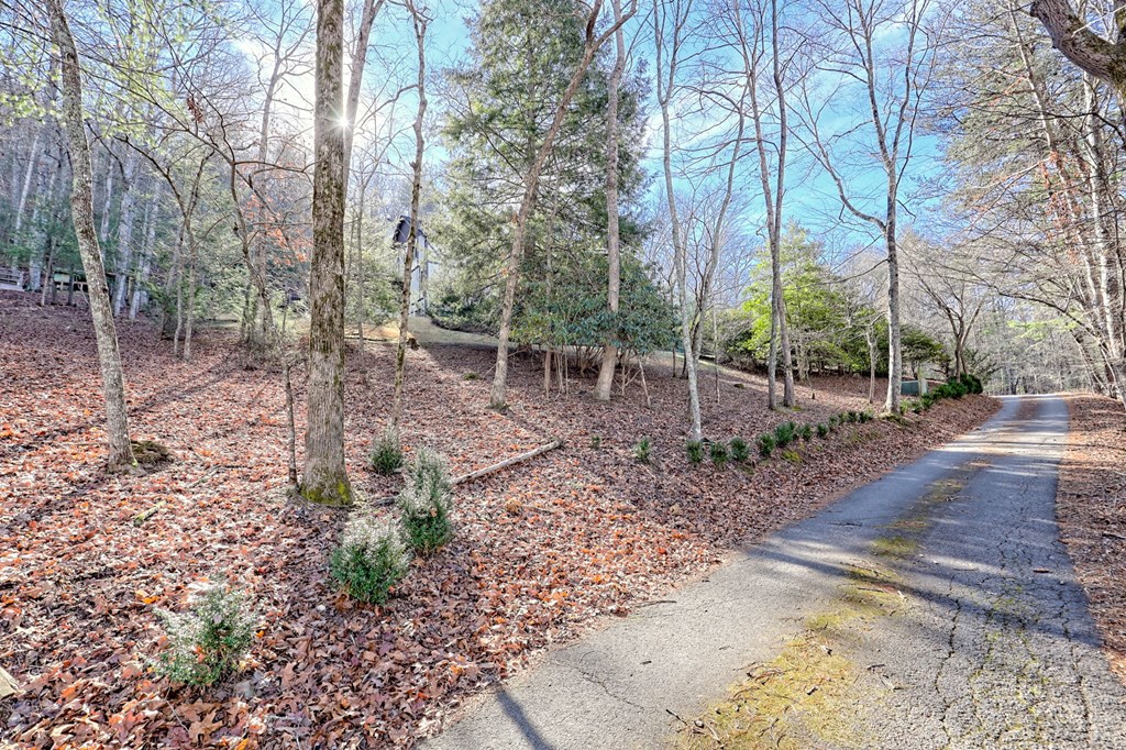 251 Quail Cove Lane Property Photo 81