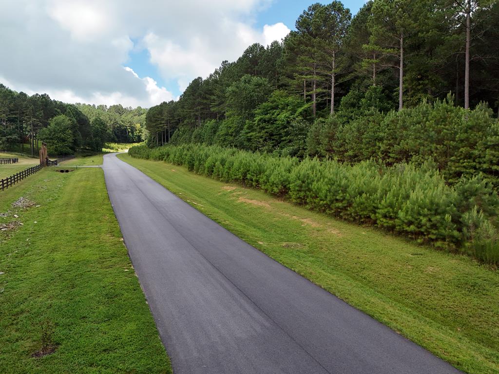 Lot 42 Thirteen Hundred Property Photo 1