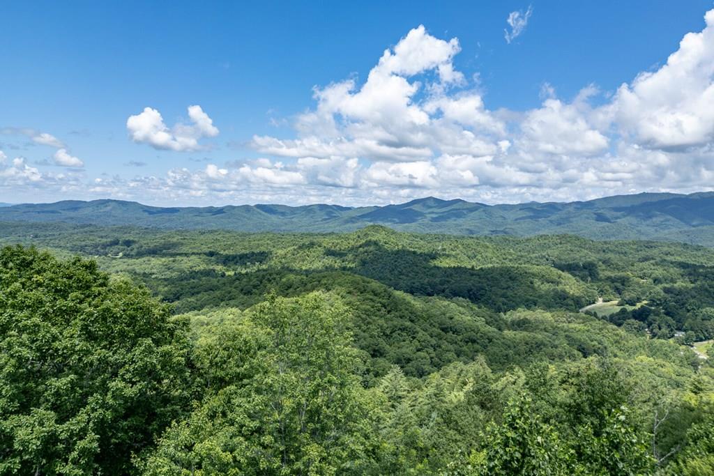 Lot 111c Puett Cove Estates Property Photo 1