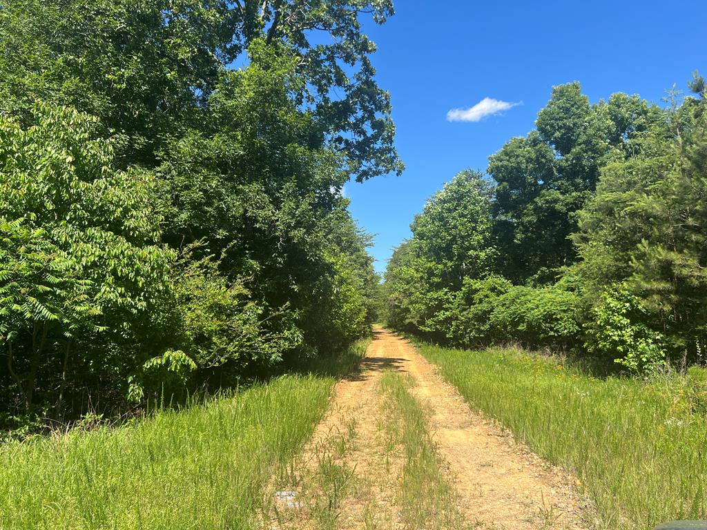 0 Cherokee Hills Drive Property Photo 1