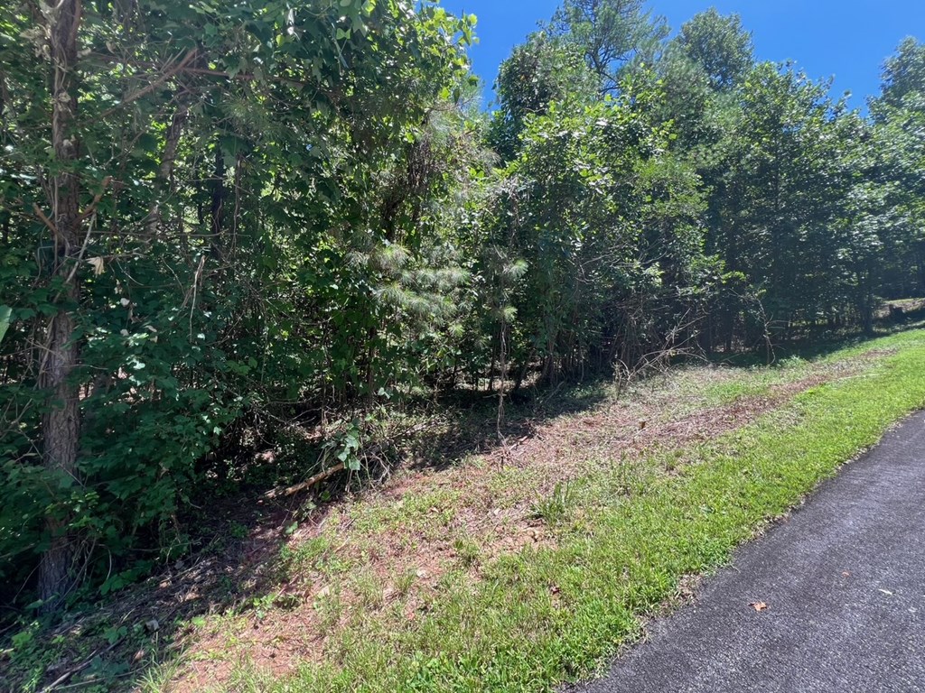 64 Meadow Brooke Drive Property Photo 4