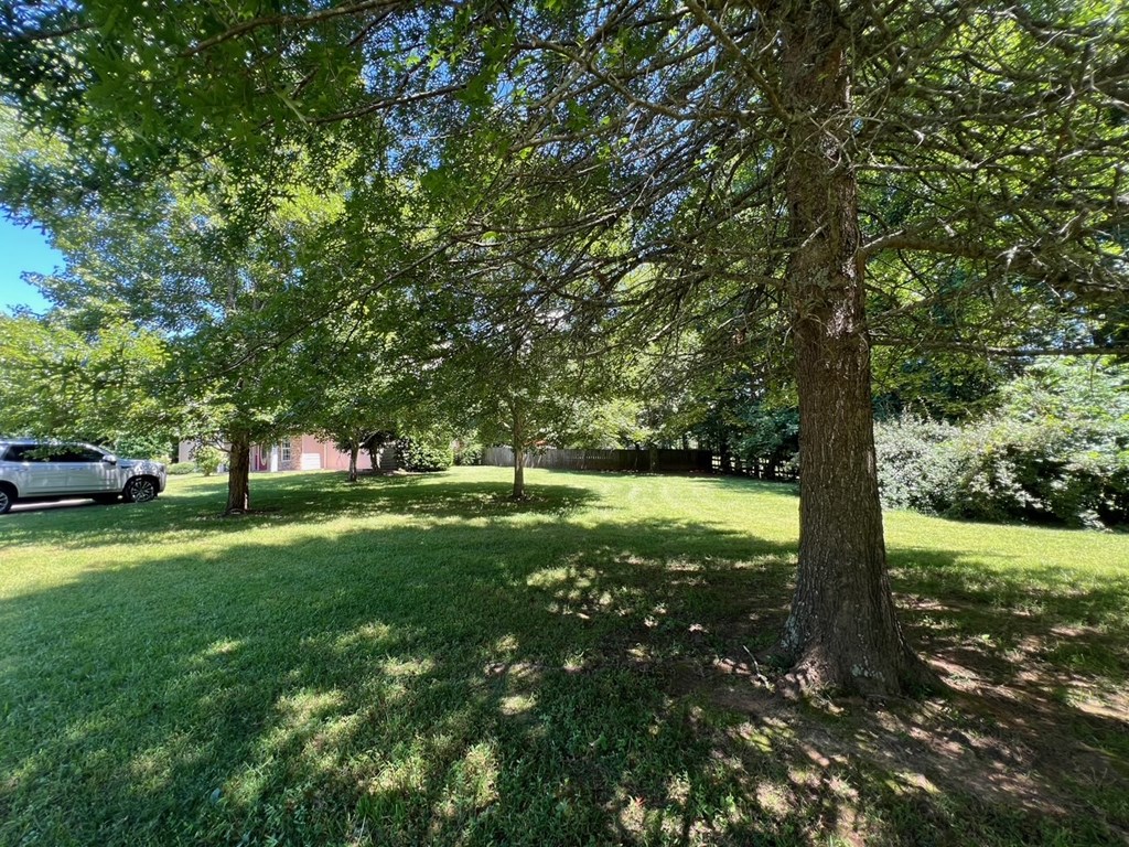 64 Meadow Brooke Drive Property Photo 11