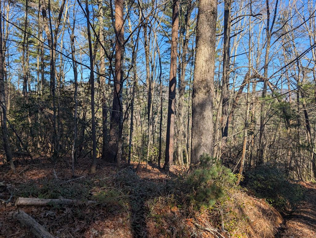 Lot J251 Pine Ridge Court Property Photo 1