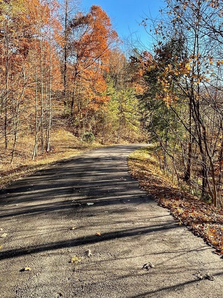 Lot 41c Ash Branch Circle Property Photo 3