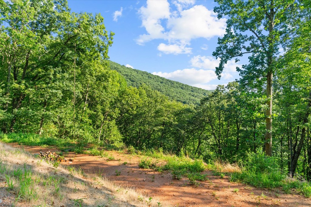 Lot 4-5 Firetower Road Property Photo 4