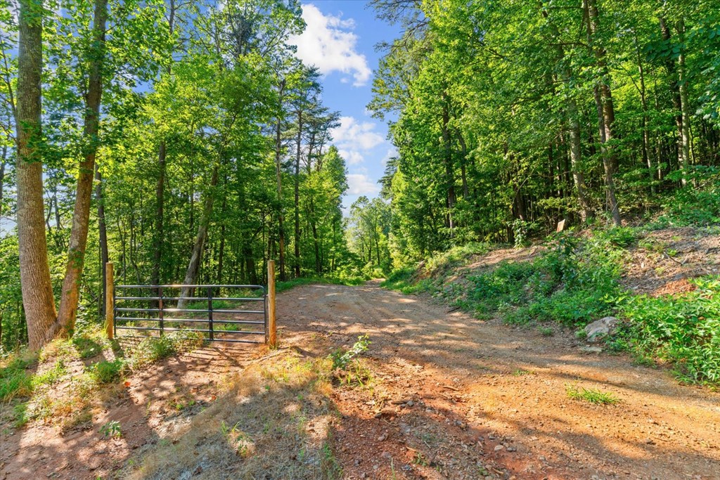 Lot 4-5 Firetower Road Property Photo 5