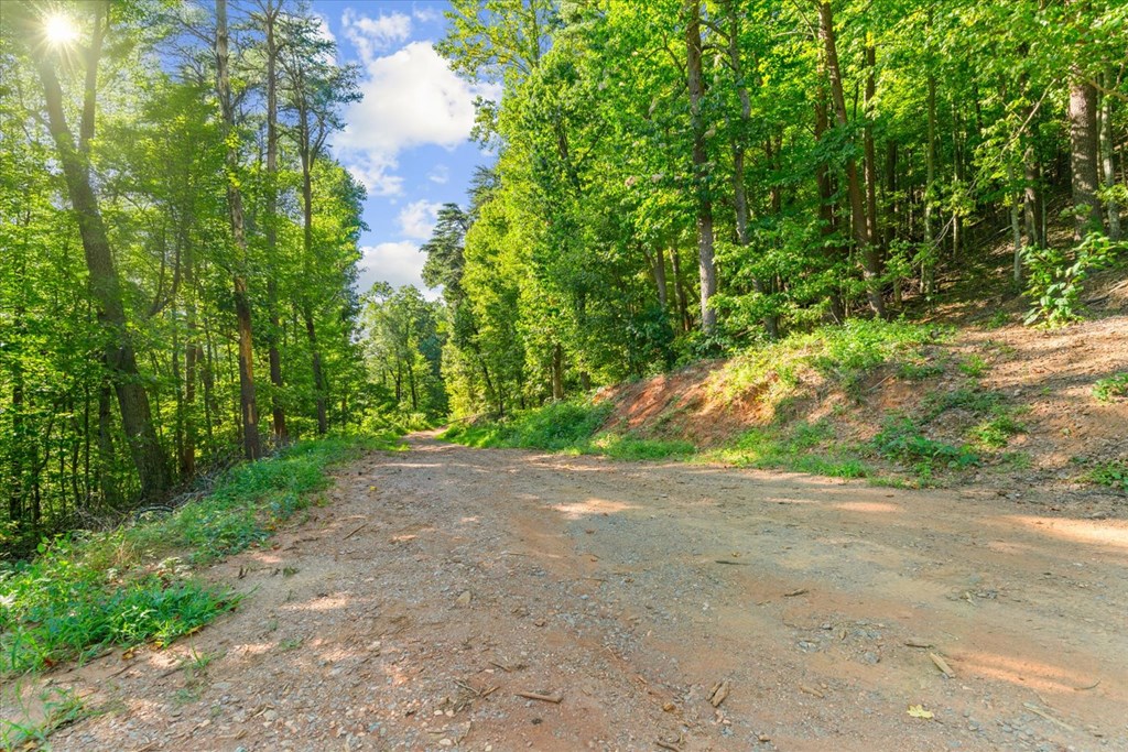 Lot 4-5 Firetower Road Property Photo 6