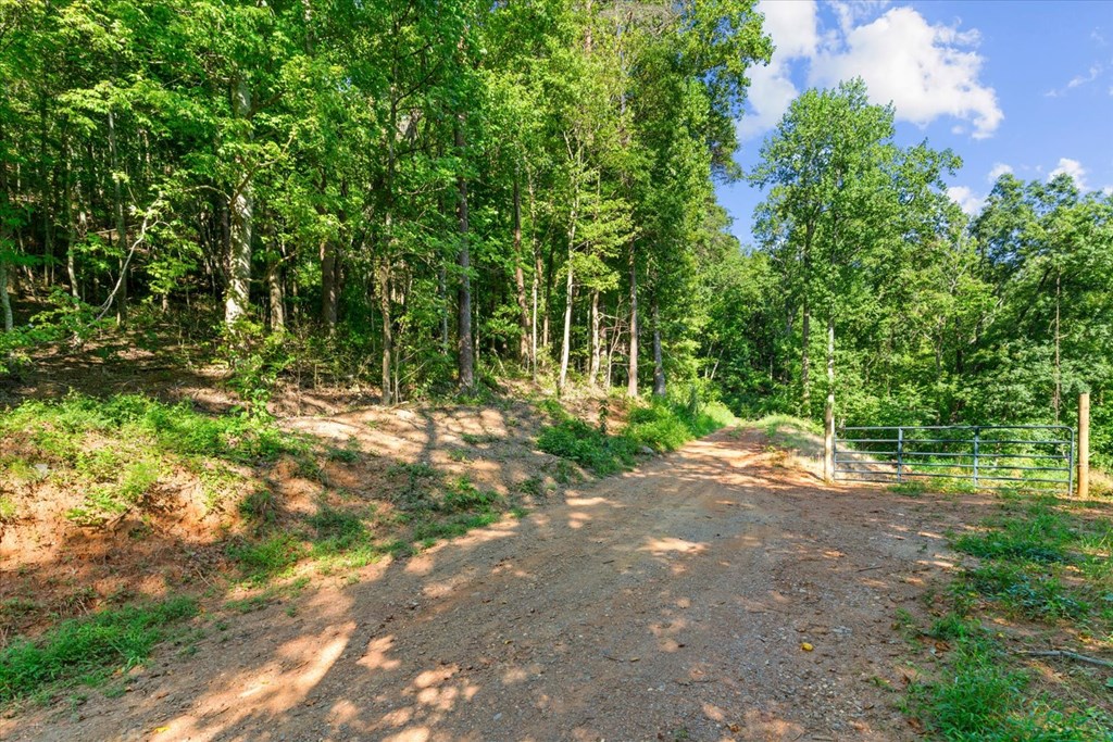 Lot 4-5 Firetower Road Property Photo 7