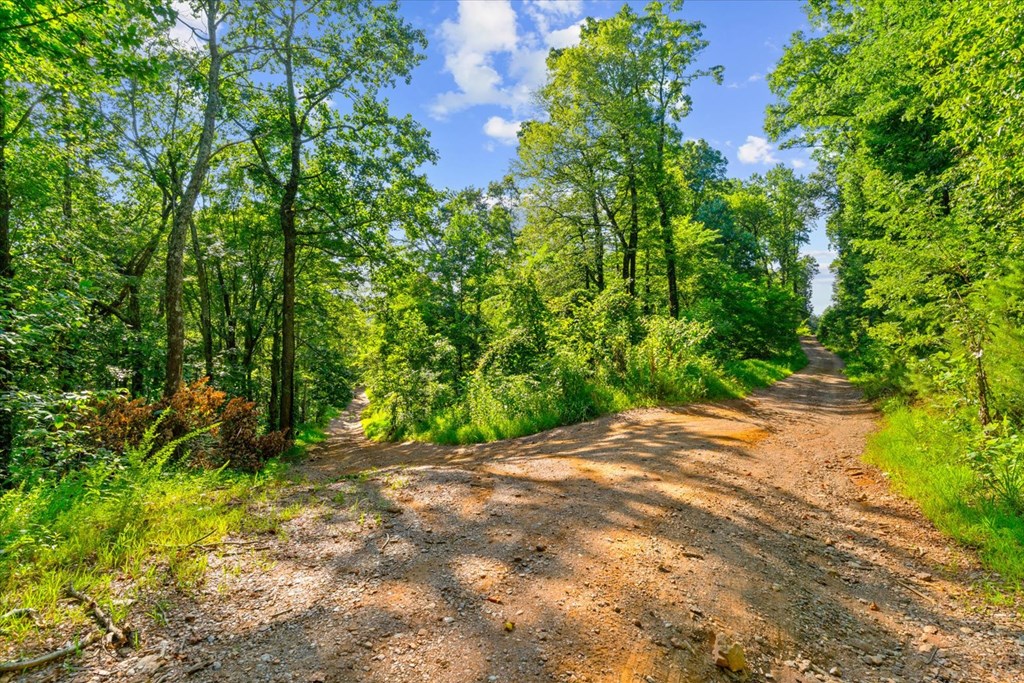 Lot 4-5 Firetower Road Property Photo 8