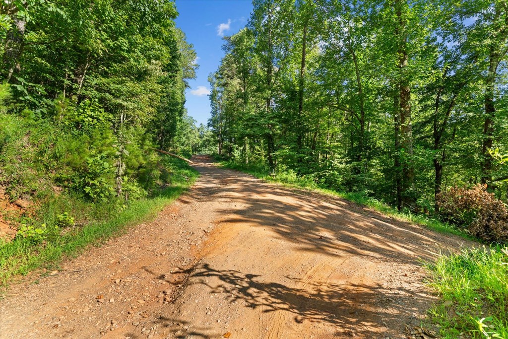 Lot 4-5 Firetower Road Property Photo 9