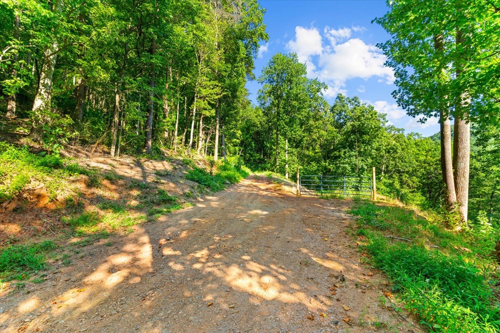 Lot 4-5 Firetower Road Property Photo 10