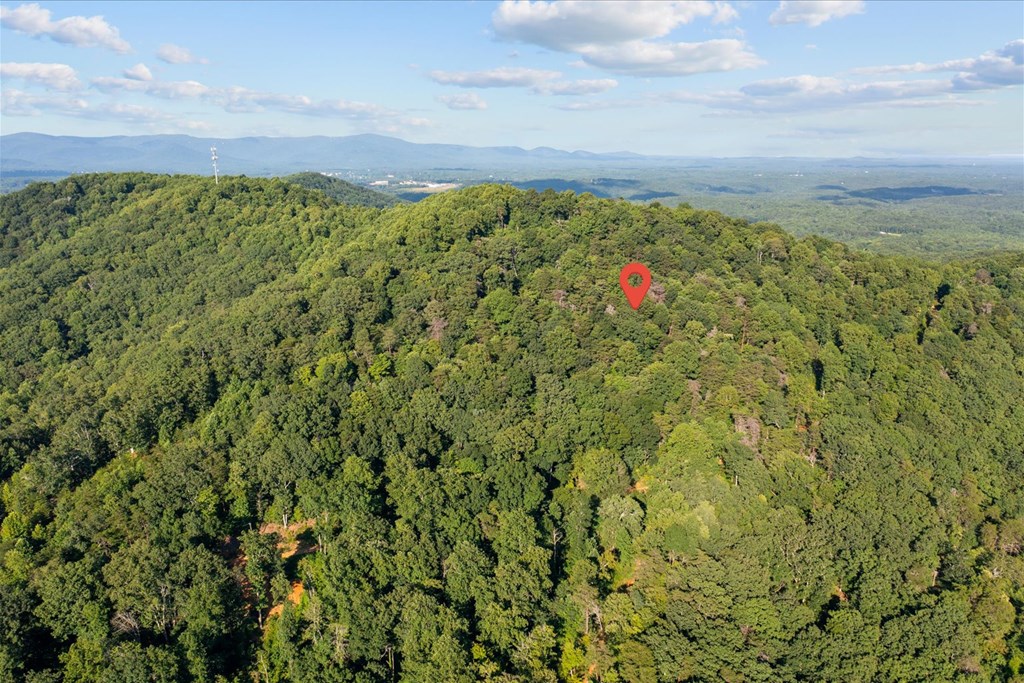 Lot 4-5 Firetower Road Property Photo 11