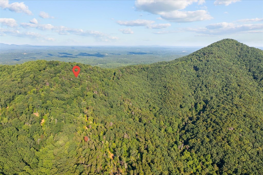 Lot 4-5 Firetower Road Property Photo 12