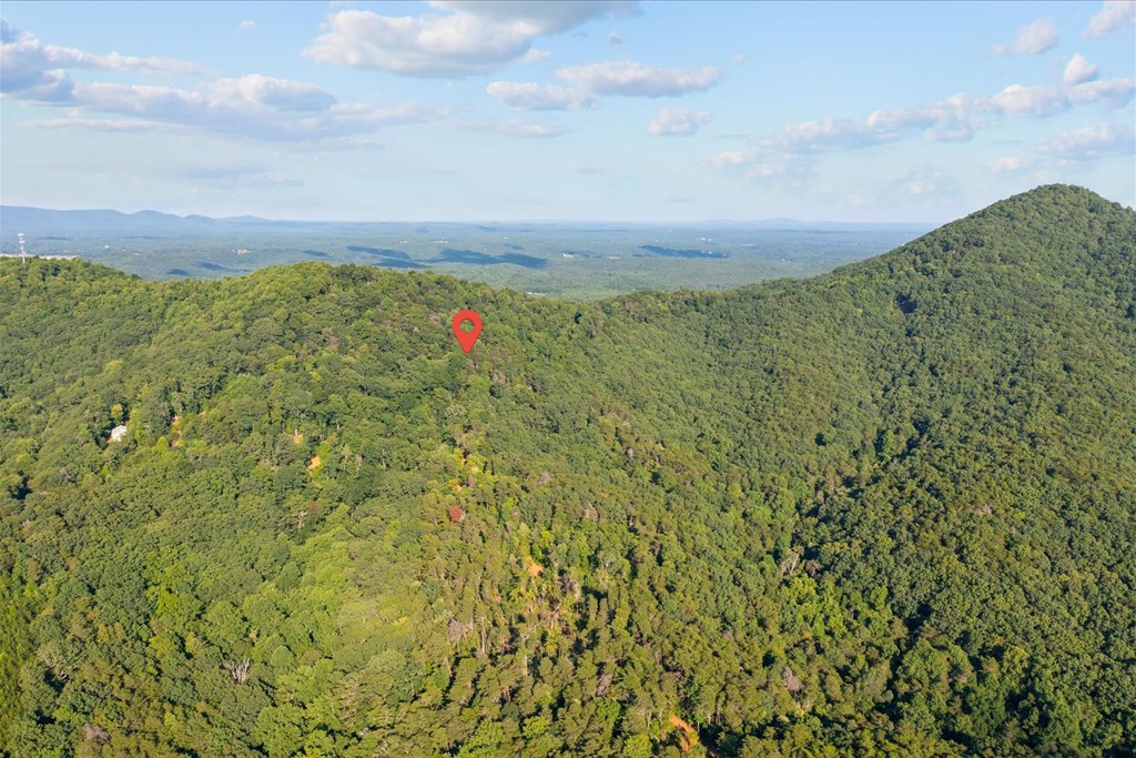 Lot 4-5 Firetower Road Property Photo 13
