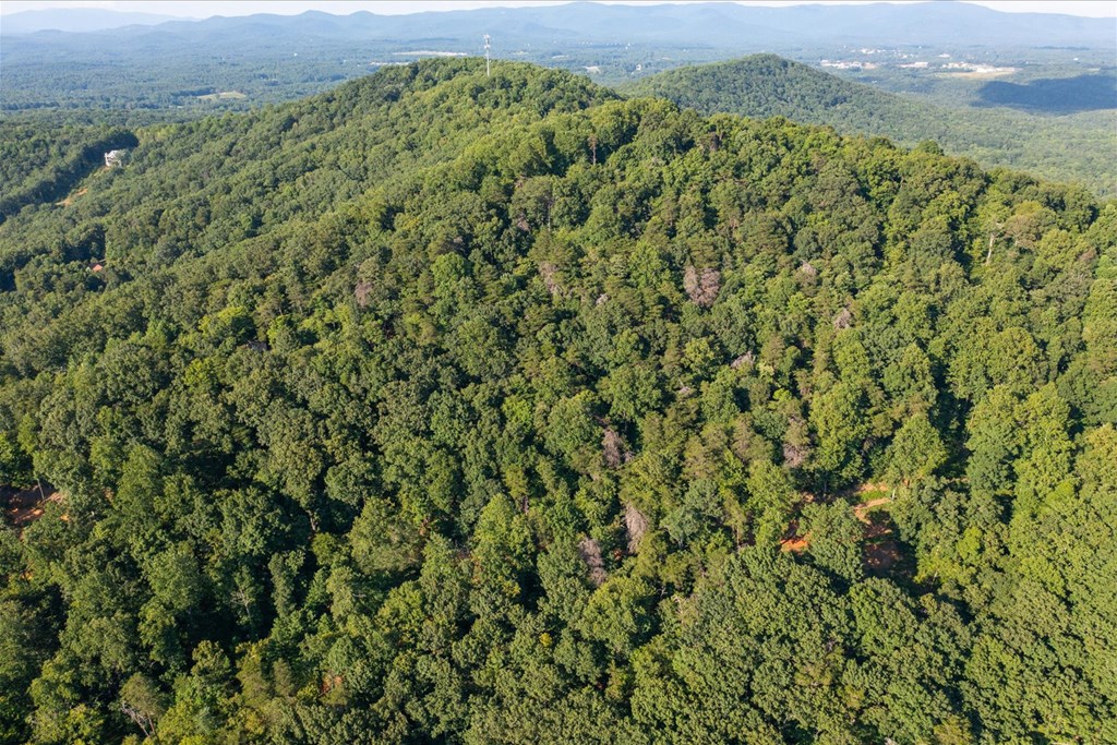Lot 4-5 Firetower Road Property Photo 14