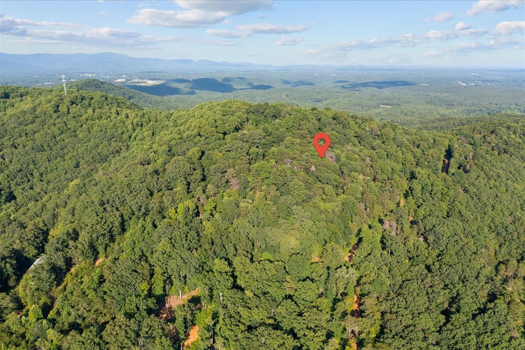 Lot 4-5 Firetower Road Property Photo 15