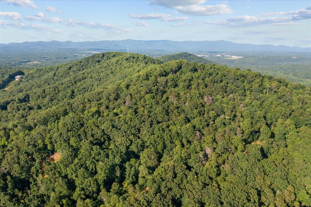Lot 4-5 Firetower Road Property Photo 16