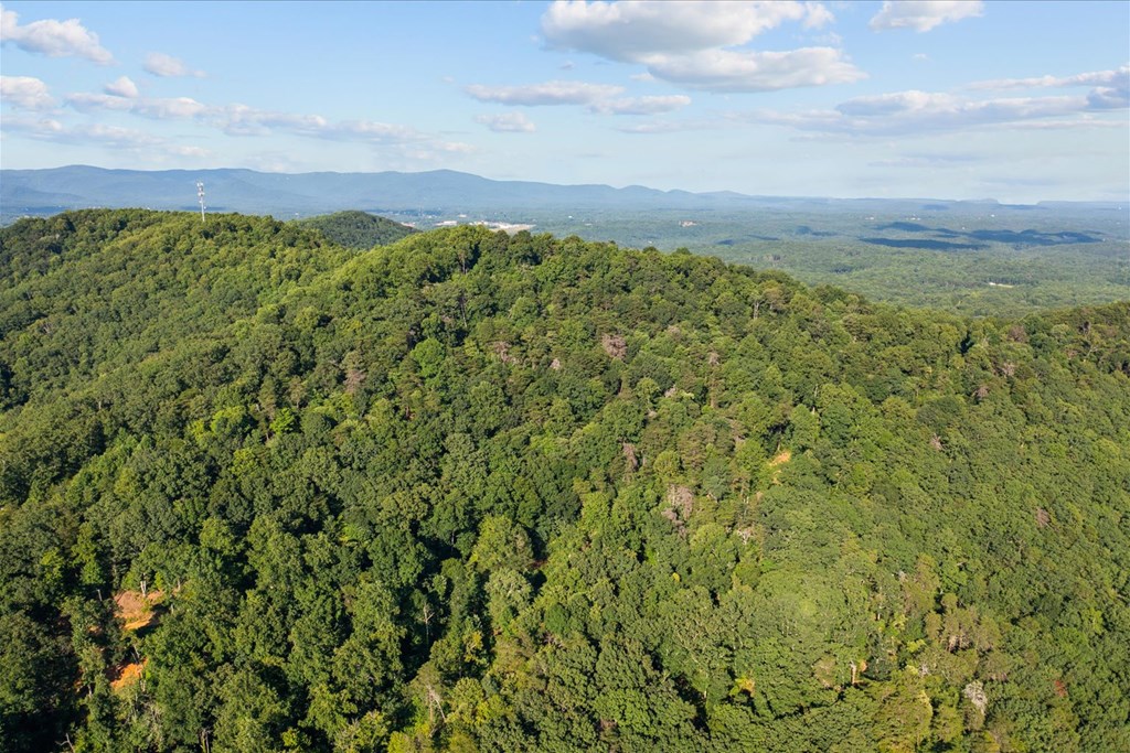 Lot 4-5 Firetower Road Property Photo 17