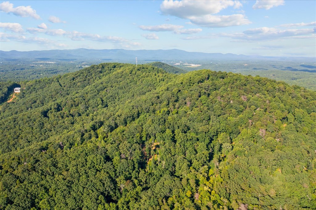 Lot 4-5 Firetower Road Property Photo 18