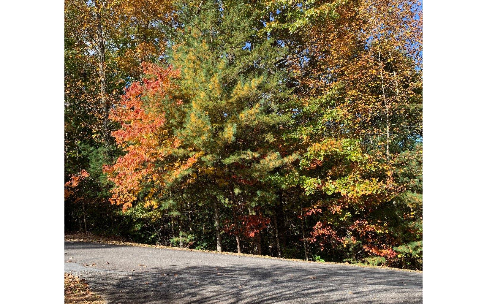 Lot22 Bryant Cove Road Property Photo 6